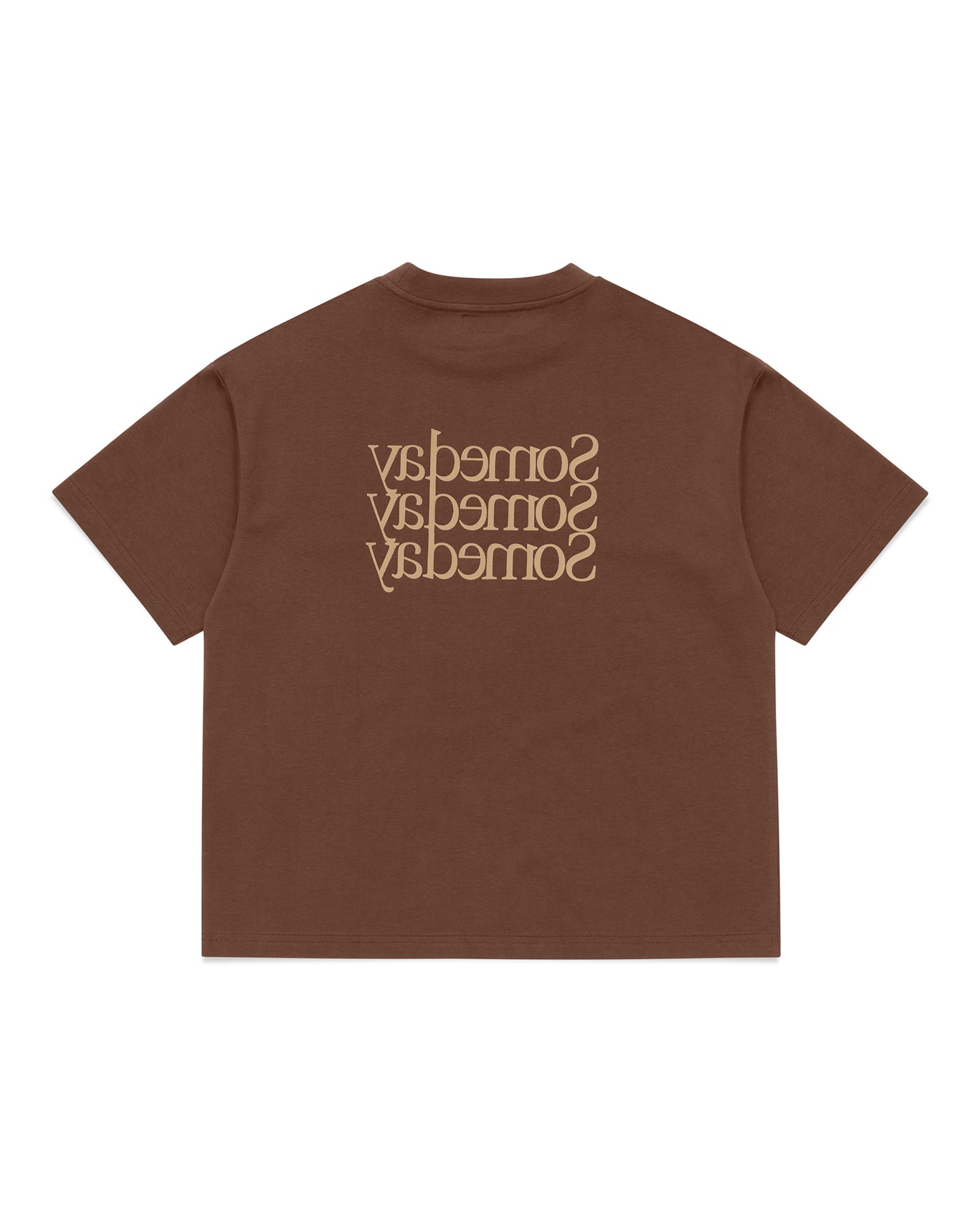 TRANSPARENCY TEE | ESPRESSO