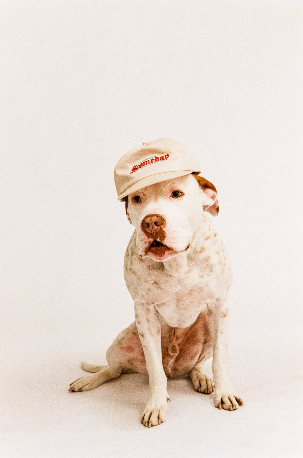 SLOW WAY CAP | COCONUT CREAM